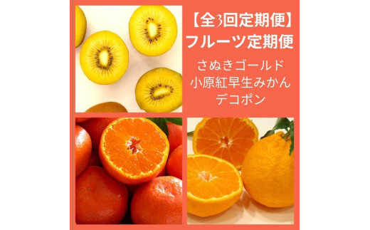 【全3回フルーツ定期便】さぬき讃フルーツさぬきゴールドと小原紅早生みかんと不知火【D-14】