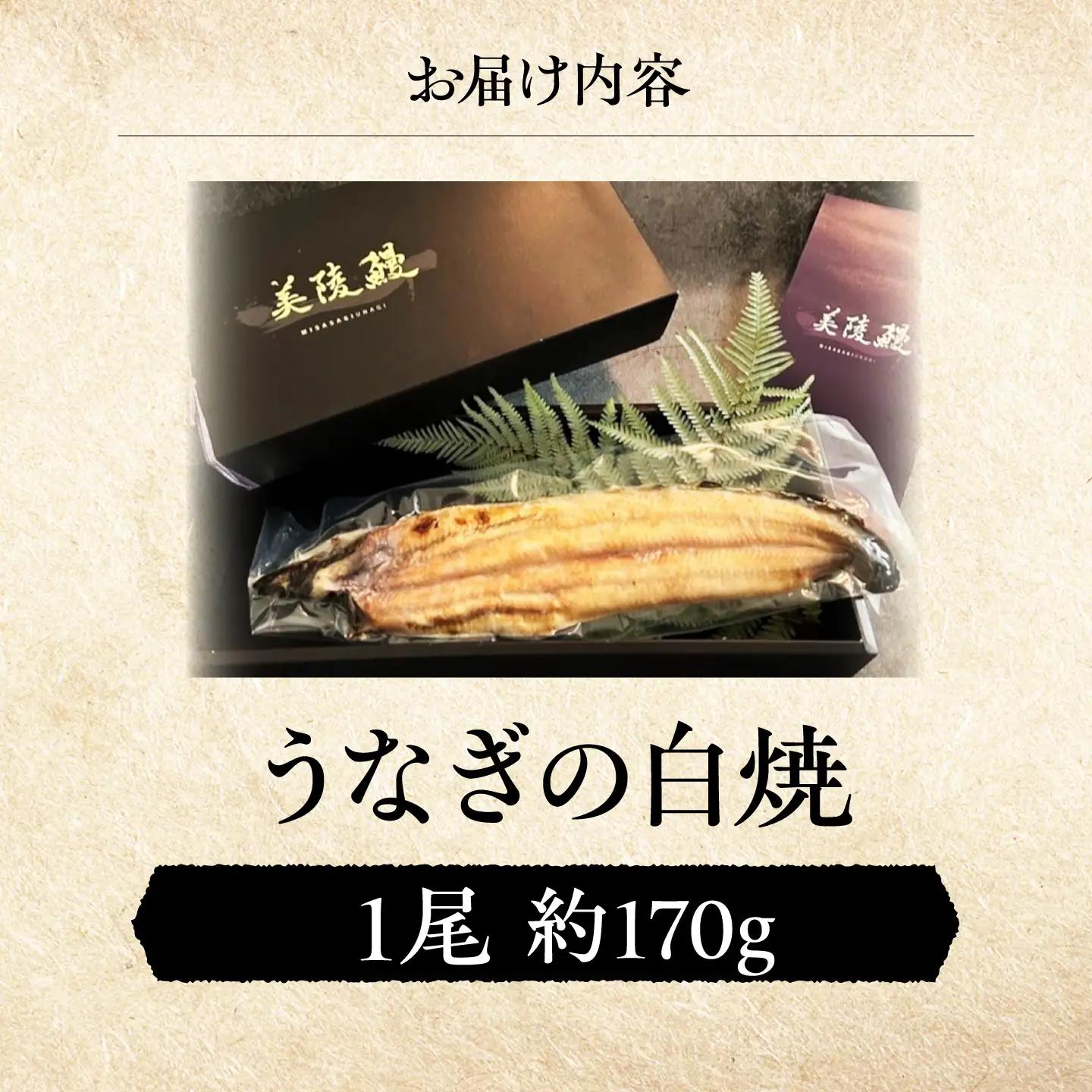 鰻 美陵鰻の白焼 1尾 / 美陵鰻 鰻 うなぎ ウナギ 蒲焼 蒲焼き かば焼き かばやき 白焼き 白焼 しろやき しらやき うな重 うな丼 ひつまぶし 惣菜 おかず タレ 山椒 国産  土用 丑の日 