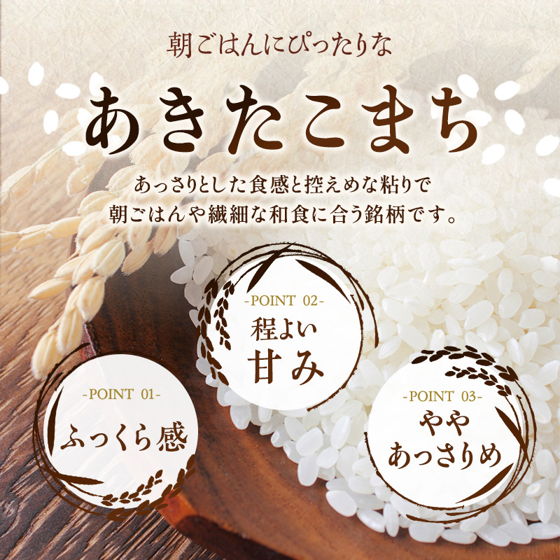 【6か月定期便】盛岡市産あきたこまち【無洗米】20kg×6か月