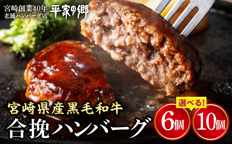 
            【選べる内容量】【創業40年】老舗ハンバーグ店「平家の郷」宮崎県産黒毛和牛合挽ハンバーグ140g_M222-012-SKU
          