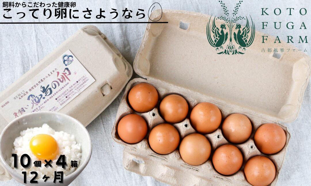 【ふるさと納税】飛鳥の卵（10個×4箱）定期便12ケ月 古都 風雅ファーム たまご 平飼い卵 平飼い 卵 玉子 タマゴ 鶏卵 オムレツ 卵かけご飯 たまご焼き 奈良市なら 180-001
