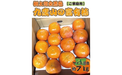 
                  【先行予約】 樹上完全着色「九度山の富有柿」★訳あり★ 約7kg 【2026年11月中旬頃から発送予定】
                