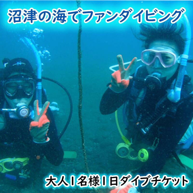 【ふるさと納税】 ファン ダイビング チケット 大人 1名 1日 2ビーチ ダイブ 沼津 伊豆半島 アクティビティ マリンスポーツ スキューバダイビング 海 体験 ツアー 観光 レジャー スポーツ 旅行 シュノーケリング 沼津市 静岡県
