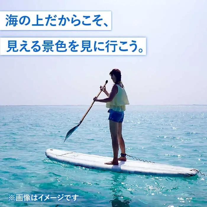 SUP体験 《壱岐市》【壱岐イルカパーク＆リゾート】[JBF008] 22000 22000円