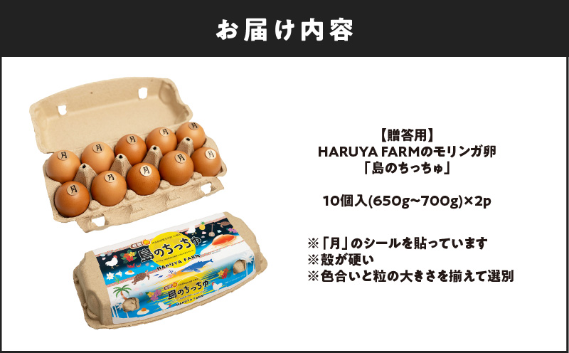 【贈答用】HARUYA FARMのモリンガ卵「島のちっちゅ」　W065-001-01