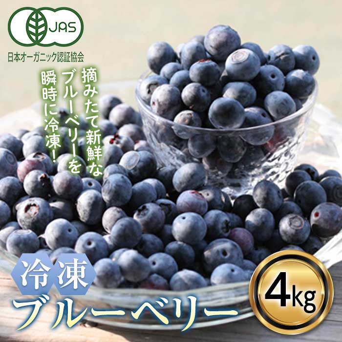 【ふるさと納税】 ＜有機JAS認定＞ 冷凍ブルーベリー (4kg) ブルーベリー JAS認定 農薬不使用 有機栽培 冷凍 フルーツベリー くだもの 果物 食品 F20E-850