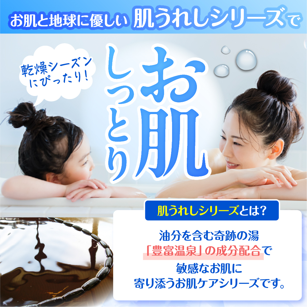 豊富温泉 濃縮温泉水 サロベツ大地恵泉 (500ml×6本) 500ml×6本