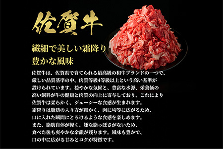 【先行受付 令和6年12月中旬より発送】【和牛セレブ】佐賀牛 切り落とし 300g【肉 ブランド牛 和牛 牛肉 ふるさと納税】(H113116)