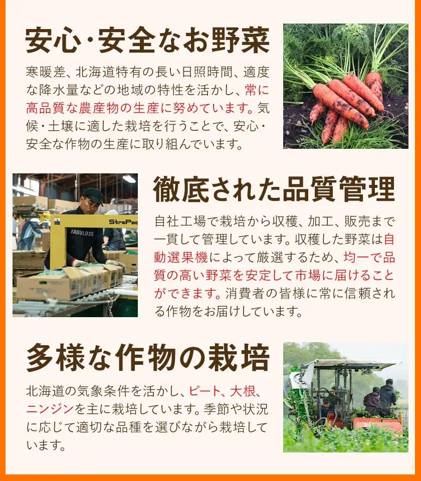 訳あり 甘い人参 浦幌べにかなで 2kg 北海道十勝産
