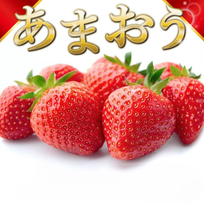 【12月より順次発送】福岡県産 あまおう 500g(250g×2パック)(筑後市)【配送不可地域：離島】