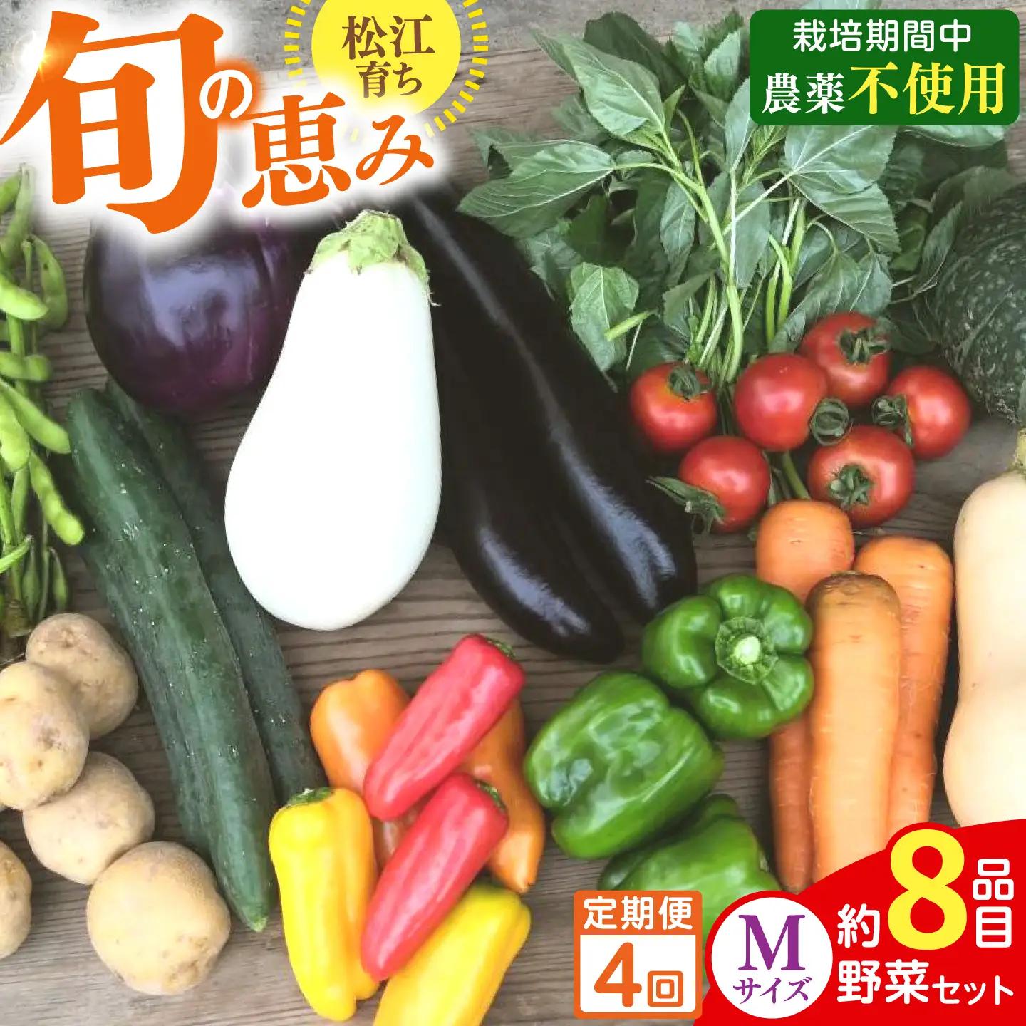 【先行予約】【2027年1月以降発送開始】【全4回定期便】旬の野菜セットMサイズ 島根県松江市/須山農園[ALBD008]栽培期間中 農薬不使用  野菜 セット