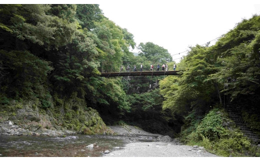 奥多摩 氷川渓谷プライベートガイドウォーク体験利用券1名様分　／氷川渓谷 ガイドツアー アウトドア 観光 旅行 アクティビティ自然 自然体験 体験 ウォーキング 川 かわ　東京都奥多摩町