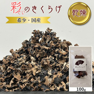【ふるさと納税】彩のきくらげ　乾燥きくらげ100g　埼玉県産【1692951】