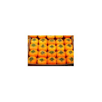 ふるさと納税 美浜町 たねなし柿3Lサイズ　28個詰7.5kg入箱 |  | 01