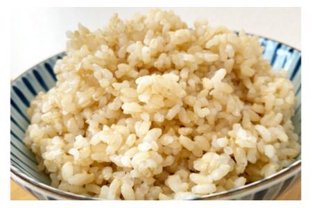 [発芽玄米] 宮城県産ひとめぼれ発芽玄米1kg×12回定期便 菅原商店