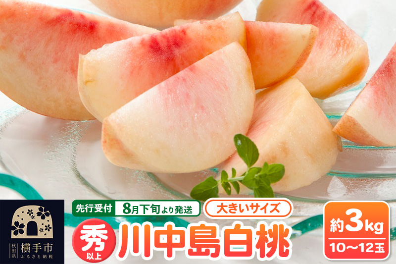 【先行受付】8月下旬より発送 横手市増田産の桃 川中島白桃 約3kg 秀以上 10〜12玉 大きいサイズ