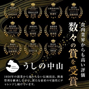 うしの中山 赤身焼肉用500g×1P 黒毛和牛 和牛 肉 牛肉 国産 九州産 鹿児島県産 焼肉 赤身 日本一 b0-201