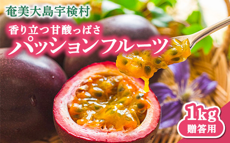 【先行予約】パッションフルーツ 贈答用 (12個入×1箱) 【7月～9月頃出荷開始】 リリコイ 果物 フルーツ デザート 人気 南国 デザート 奄美大島 宇検村 鹿児島 一どん