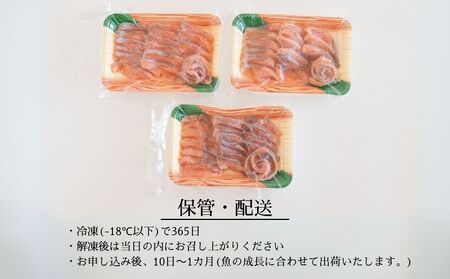 富士の介の刺し身　150g×3P ｜ 富士の介 お刺身　おせち お正月 新年 お祝い ギフト 贈り物 年賀 湧水 グルメお歳暮 プレゼント お歳暮 希少　カルパッチョ　ユッケ