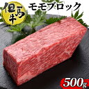 【ふるさと納税】但馬牛ももブロック 500g　[ 牛肉 お肉 ブランド牛 キャンプ BBQ アウトドア バーベキュー ギフト　ローストビーフ ]　【 ブランド和牛 高級和牛 和牛 やわらかい 赤み 絶品素材 】