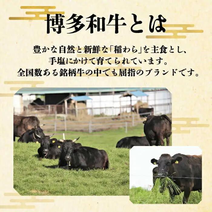 【全12回定期便】サーロイン ステーキ 200g × 2枚 [ABCL006] 