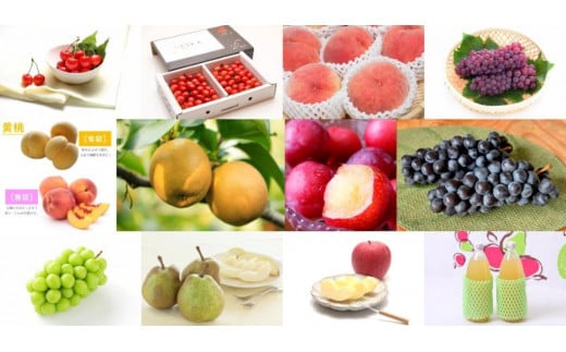 【通年定期便12回】 果物フルコース定期便