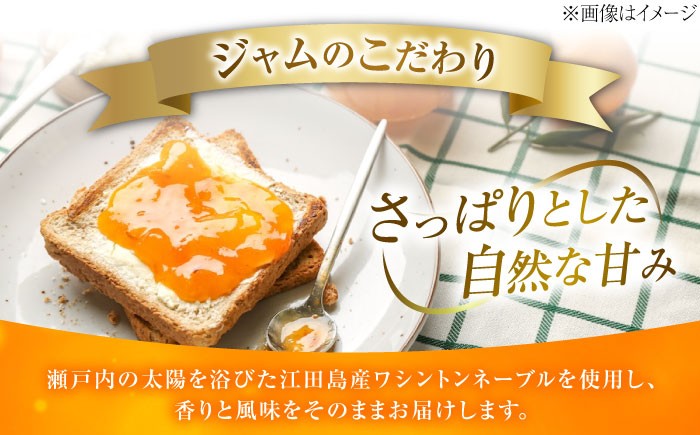 みかん ミカン マーマレード ママレード ジャム じゃむ 瓶 無添加 オレンジ ネーブル 果実 柑橘 果物 くだもの フルーツ