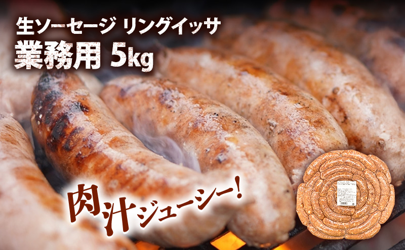 リングイッサ BBQ 業務用 5kg 生ソーセージ 肉本来の旨味 特大生ソーセージ ジューシー バーベキュー パーティー ブラジル式生ソーセージ