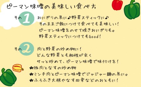 お日さまたっぷり栄養満点！万能調味料「ピーマン味噌」★あんずの里[H0049]