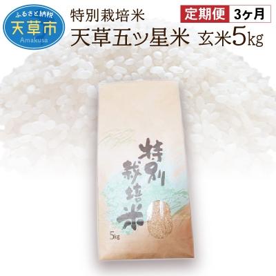 ふるさと納税 天草市 【3ヶ月定期便】天草五ッ星米 玄米 5kg_S061-T07A