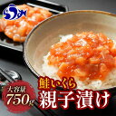 北海道産 鮭といくらの親子漬け750g(250g×3P)選べる配送月
