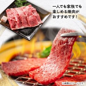 【飛騨牛】ロース(焼肉用)500g×2【配送不可地域：離島】【1553188】