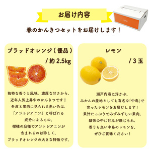 【先行予約】ブラッドオレンジ (優品) 約2.5kg & 瀬戸内海の島レモン 3玉 セット | みかんみかんみかんみかんみかん 【KK320】
