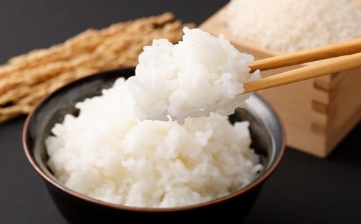 【奇数月6回定期便】【2026年11月上旬以降 奇数月に順次発送】【先行予約】【KODAMAFARMS】にじのきらめき5kg×6回（計30kg）KODA米 お米 米 お弁当 おべんとう おにぎり にぎり 定期便 鹿児島県 薩摩川内市 GS-616