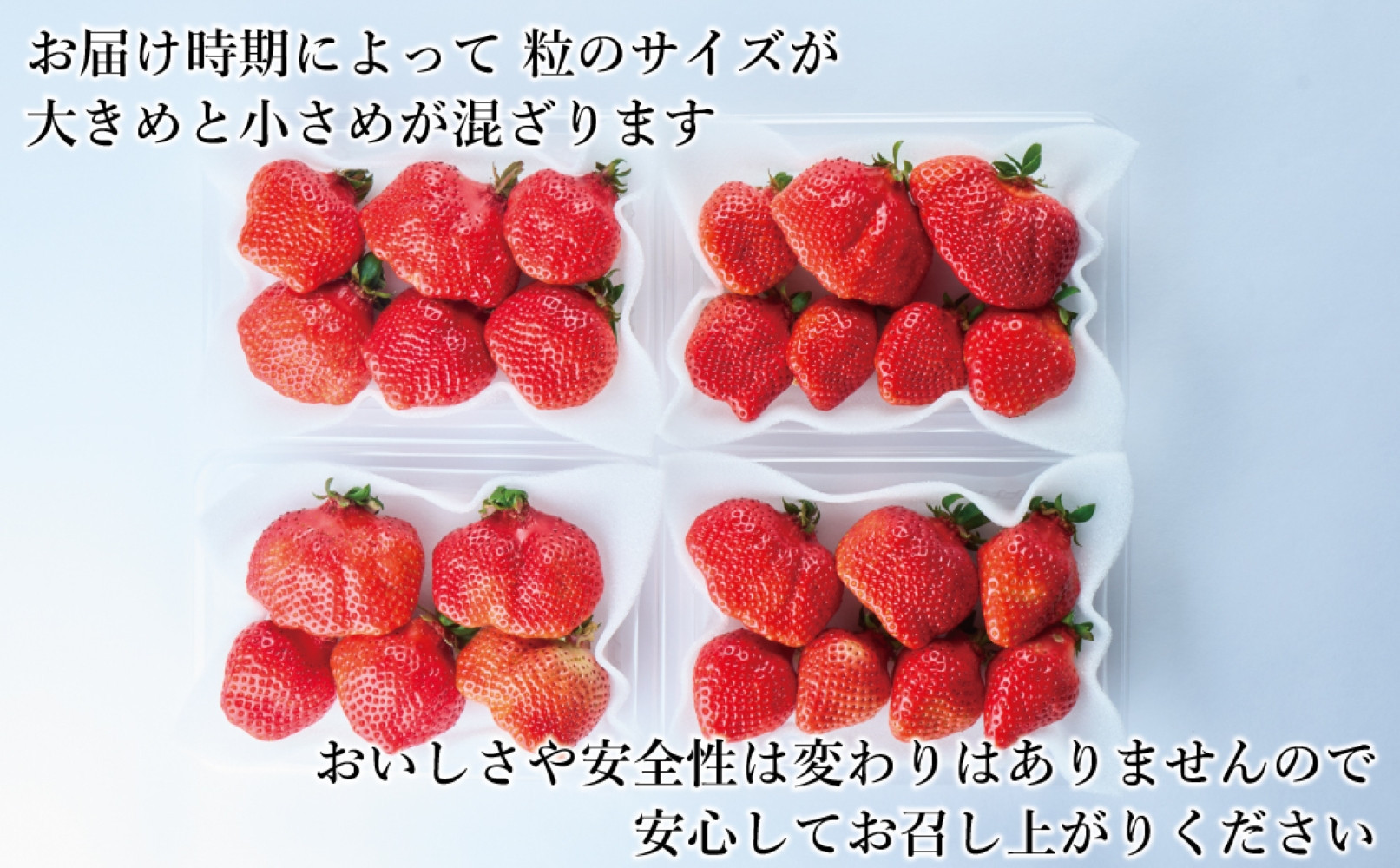 【2025年2月1日～3月31日までに発送！】有機肥料にこだわったたっちゃん家の完熟あまおう（270g×4パック）【配送不可地域：北海道・沖縄・離島】