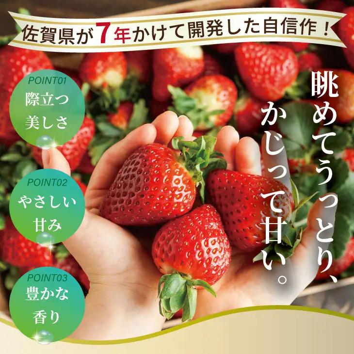 【先行予約】令和9年2月上旬頃出荷開始 いちごさん 4箱セット（1,200g） ふるかわ農園 苺 いちご 果物 B130-054
