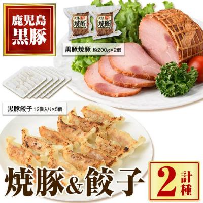 ふるさと納税 肝付町 黒豚焼豚(2個)&amp;黒豚餃子(12個入×5パック)セット　A02048