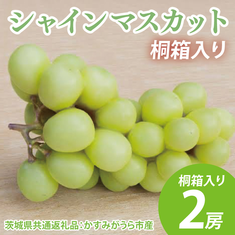 【先行予約】シャインマスカット 桐箱入り2房（茨城県共通返礼品：かすみがうら市産）　※2025年8月初旬～2026年1月下旬頃に順次発送予定（CD042）