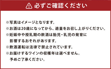 鶴沼収穫ワイン 【ミュスカ】 （白ワイン：750ml×2本） 計1500ml アルコール 11.5％-12.5％ お酒 酒 ワイン セット