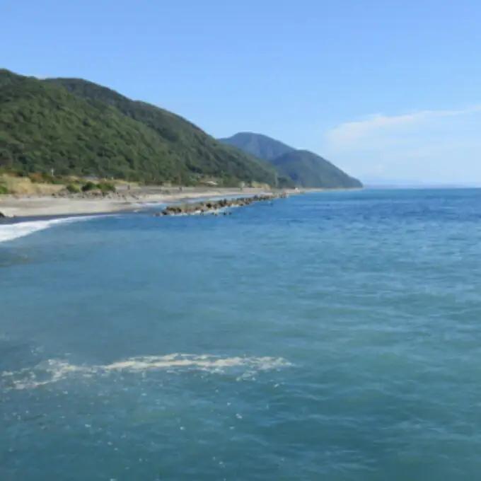 活伊勢海老 約2kg(4～10尾)【 イセエビ 伊勢海老 】