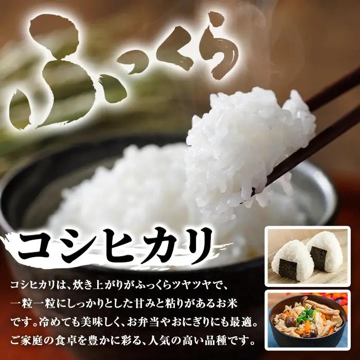 【定期便 計3回】令和8年産 新米 鹿児島県産 コシヒカリ 計15kg 5kg×3回 国産 精米 白米 ごはん【山下商店】D95001