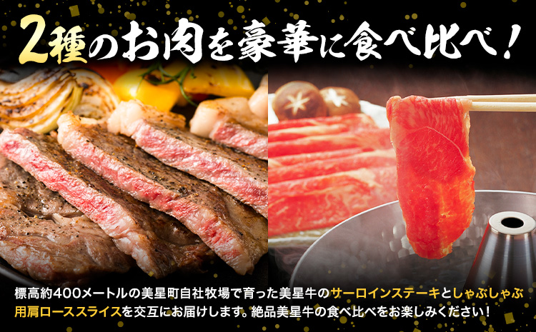 【お試し2回定期便】美星牛 お肉の定期便 サーロインステーキ 肩ローススライス しゃぶしゃぶ用 ハレノヒ良品《お申込み月の翌月から発送》 岡山県 浅口市 肉 和牛 国産 牛肉 サーロイン 牛ロース し