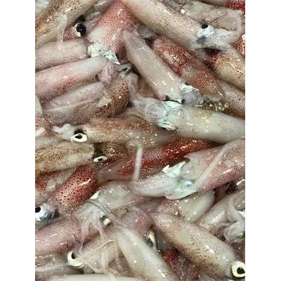 ふるさと納税 八幡浜市 竹中水産のバラスルメ2kg前後(小小サイズ)【D22-223】 |  | 01