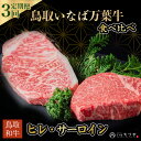 【ふるさと納税】【定期便3回】鳥取いなば万葉牛 食べ比べ 定期便（計約3.7kg） 鳥取和牛 国産 牛肉 和牛 黒毛和牛 ヒレ サーロイン 定期便