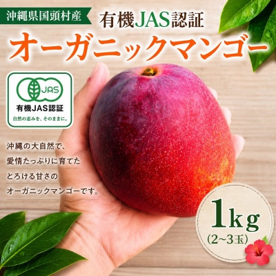 【2026年7月上旬から順次発送・有機JAS認証】オーガニックマンゴー1kg(2～3玉)【配送不可地域：離島】