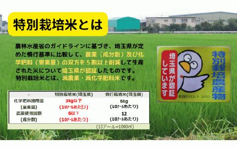 【特別栽培米(玄米)】島村さんちの特別栽培米　３種類食べ比べセット（コシヒカリ・キヌヒカリ・彩のかがやき　各２ｋｇ　合計６ｋｇ）　減農薬　減化学肥料　玄米　埼玉県認証