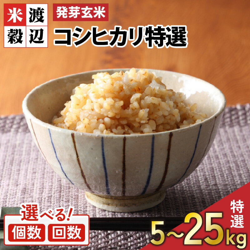 【ふるさと納税】＜寄附額見直しました！＞【令和7年産】【発芽玄米】 コシヒカリ「特選」 特別栽培米使用 1袋 / 2袋 / 3袋 / 5袋 (5kg〜25kg) 【選べる個数 / 発送回数】 2ヶ月 3ヶ月 定期便 無洗米 米 こしひかり 玄米 ギャバ GABA 食物繊維 栄養 真空パック ごはん ご飯