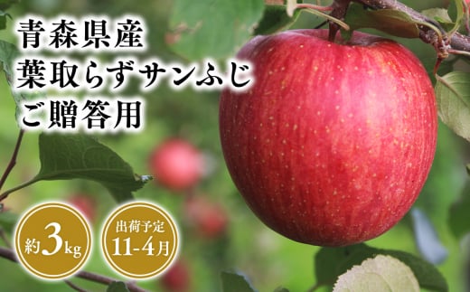 １１月～４月発送　贈答用葉とらずサンふじ3ｋｇ　【そと川りんご園・１１月・１２月・１月・２月・３月・４月・青森県産・平川市・りんご・葉とらずサンふじ・3ｋｇ・贈答用】