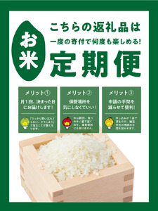 米 こしひかり 5kg × 6回 【 6か月 定期便 】 ( 令和8年産 ) 山岸ファームのお米 沖縄県への配送不可 2026年10月上旬頃から順次発送予定 コシヒカリ 白米 精米 お米 信州 予約 