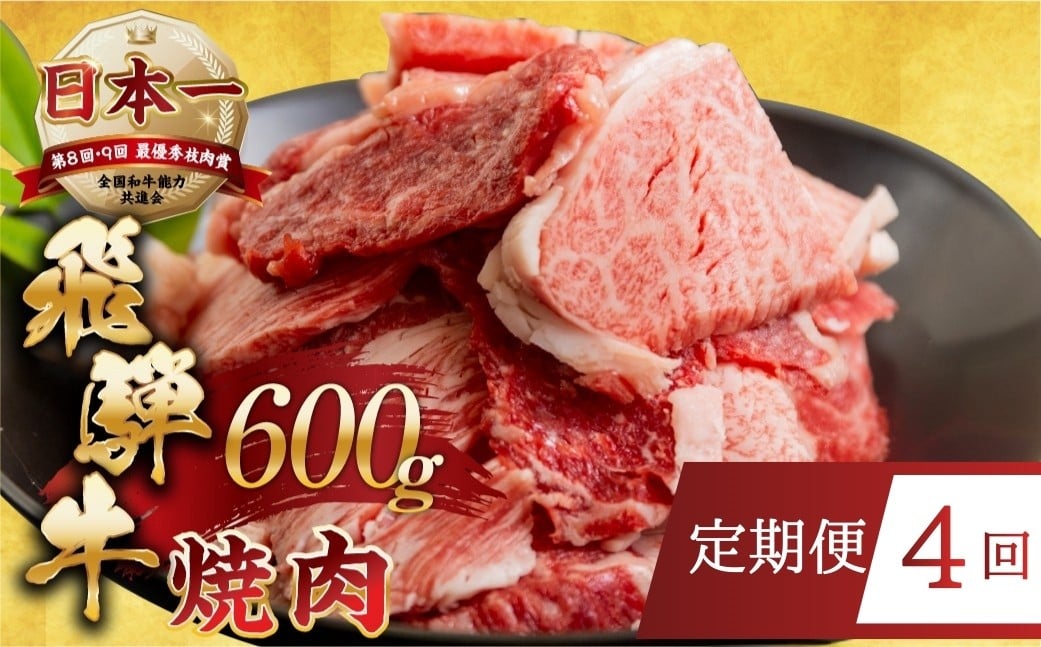 
                    【定期便】【訳あり】飛騨牛 焼肉 切り落とし 600g 4回定期便 | 牛肉 肉 切落し わけあり ワケアリ 不揃い 冷凍 本巣市 トキノ屋 食品 訳有 焼肉セット 焼肉用  [mt505] 15000円 1月 2月 3月 4月 5月 着日指定可 すぐ届く 12月 発送 選べる  
                
